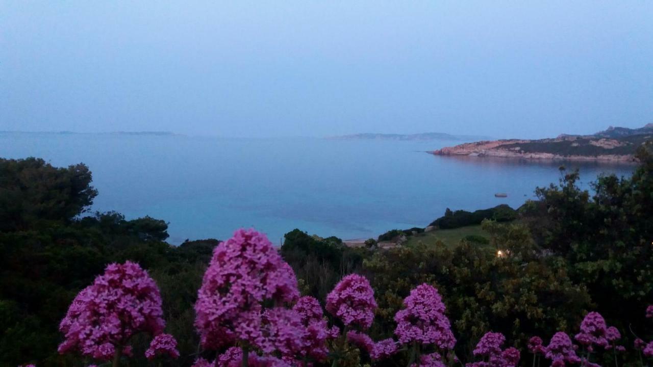 Appartamento Fronte Mare Santa Teresa Gallura Bagian luar foto